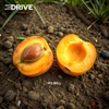 Birth Life Death Drive - My Will