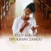 Shukrani Zangu - Single