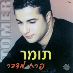 Tomer Hen - מתגעגע