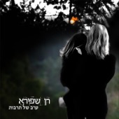 השקיעה האחרונה artwork