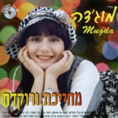 מחרוזת כורדית artwork