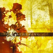 The Gathering - Nightime Birds