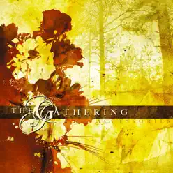 Accessories (Rarities & B-Sides) - The Gathering