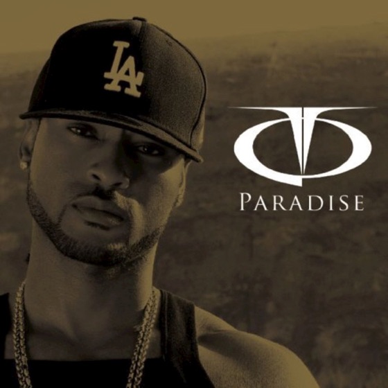 Cover artwork for Paradise (Remix)