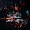 Muzica De Noapte (feat. What's Up) - Single album lyrics, reviews, download