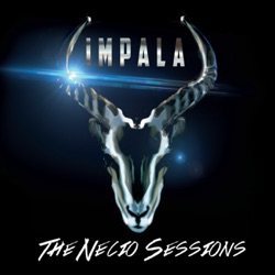 Impala - La Reynalda