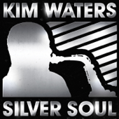 Silver Soul - Kim Waters