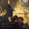 Neues Bachisches Collegium Musicum & Burkhard Glaetzner - Symphony in C Major, WI/6: II. Andante