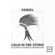 Calm in the Storm - Ezikiel