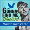 Gonna Find Me a Bluebird (Rerecorded Version) - Single