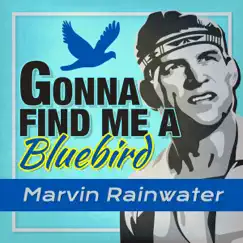 Gonna Find Me a Bluebird (Rerecorded) Song Lyrics