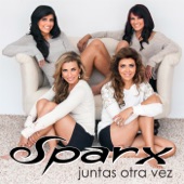 Juntas Otra Vez artwork