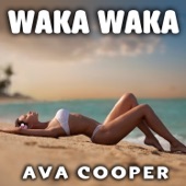 Waka Waka (Remix) artwork