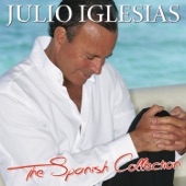 Échame a Mi la Culpa (Con Julio Iglesias) artwork