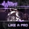 Like a Pro (Feat. Nyanda, Chedda) - The Wizard lyrics