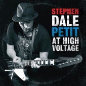 Stephen Dale Petit At High Voltage (Live) artwork