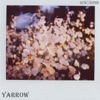 Yarrow artwork