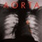 What's in My Mind's Eye - Aorta lyrics