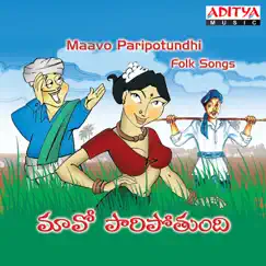 Maavo Paaripotundhi Song Lyrics