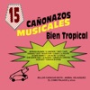 15 Canonazos Musicales Bien Tropical