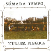 Tulipa Negra - Corpo Limpo