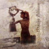 Under the Shade of Violets cover