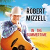 In the Summertime - Single