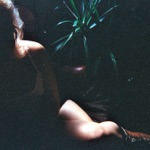 Elvis Depressedly - Wastes of Time