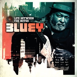 Bluey - Saints and Sinners