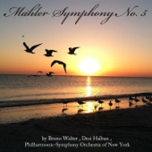 Symphony No. 5 in C-Sharp Minor: II. Strumisch bewegt, mit grosster Vehemenz artwork