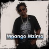 Mpango Mzima - Single