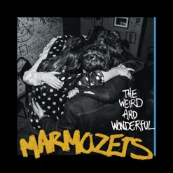 THE WEIRD AND WONDERFUL MARMOZETS cover art