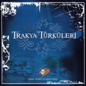 Trakya Türküleri artwork