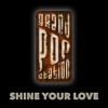 Shine Your Love - Single
