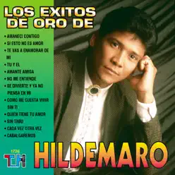 Los Exitos de Oro de Hildemaro - Hildemaro Los Exitos de Oro de Hildemaro - Hildemaro