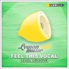 Feel This Vocal - Single