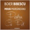 Pentru Ca Pot (feat. Mihai Margineanu) - Boier Bibescu & Mihai Mărgineanu­ lyrics