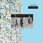 Twerps - Consecutive Seasons