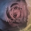 Secret Wonder artwork