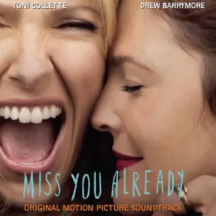 descargar álbum Various - Miss You Already Original Motion Picture Soundtrack