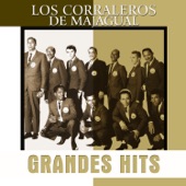 Grandes Hits: Los Corraleros de Majagual artwork