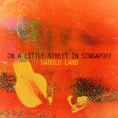 On a Little Street in Singapore artwork