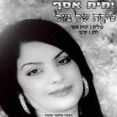 טיפה של מזל artwork