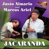 Jacaranda