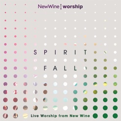 SPIRIT FALL (LIVE) cover art