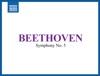 Nicolaus Esterházy Sinfonia - Symphony No. 5 in C Minor, Op. 67: II. Andante con moto