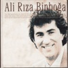 Ali Rıza Binboğa - Türk Pop Tarihi