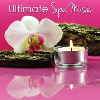 Ultimate Spa Music Collective - Relaxing Instrumental Music for Massage Therapy by Spa Music Relaxation Meditation album reviews, ratings, credits