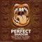 Perfect Shadow (Fhaken Remix) - Hobe lyrics