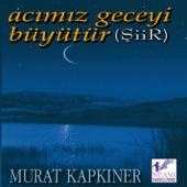 Hal Eylül Mazi Eylül artwork